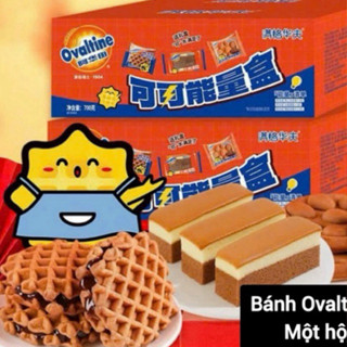 Bánh Bông lan Nhân Socola cacao Ovaltine (18 cái≈1kí)