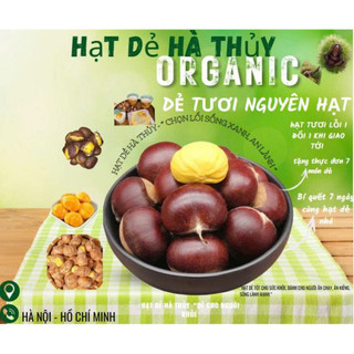 [Hạt dẻ hà thủy HCM-Combo 2Kg/3kg dẻ tươi mới 2025]Hạt dẻ tươi (hạt sống). Hạt to cơm vàng bở