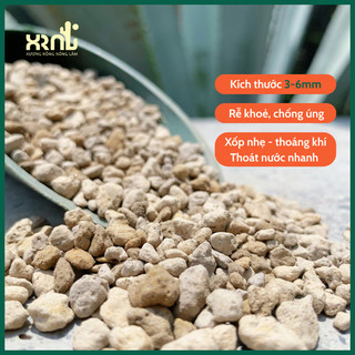 Đá Pumice (1kg) – rễ khỏe, chống úng cho xương rồng, sen đá - XƯƠNG RỒNG NÔNG LÂM