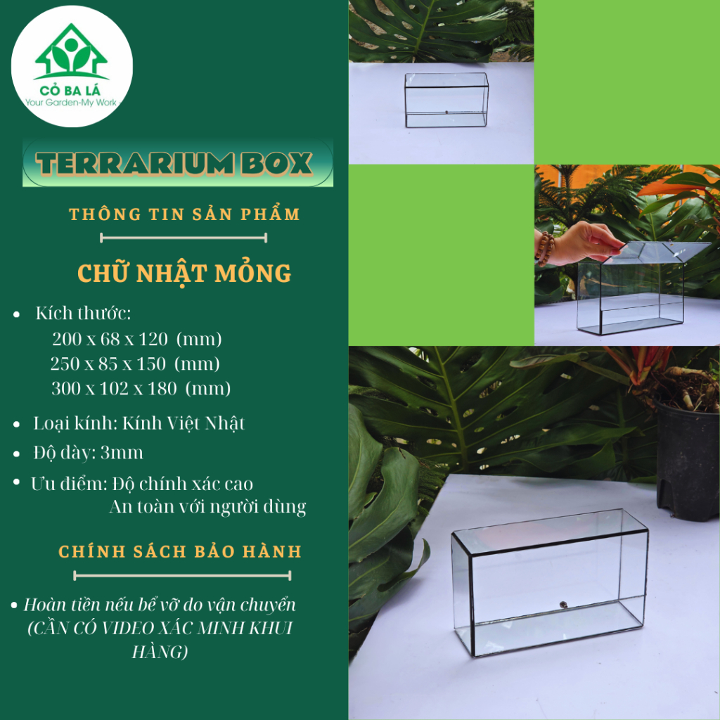 [ LKT ] 991-BỂ KÍNH THỦY TINH  "TỰ DÁN"  HÌNH CHỮ NHẬT MỎNG TRỒNG TERRARIUM, TERRARIUM BOX,...