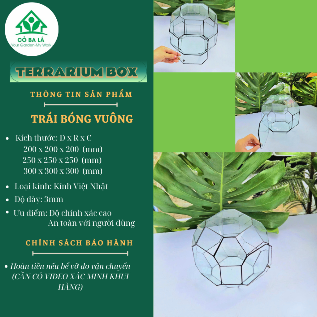 [ LKT/ Mã 223 ] Bể Kính Hình Trái Banh Vuông - Bể Terrarium - Làm Tiểu Cảnh...