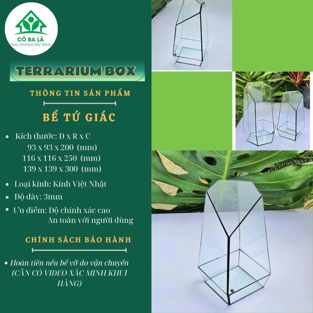 [ LKT ] 128-BỂ KÍNH THỦY TINH HÌNH TỨ GIÁC TRỒNG TERRARIUM, TERRARIUM BOX,...