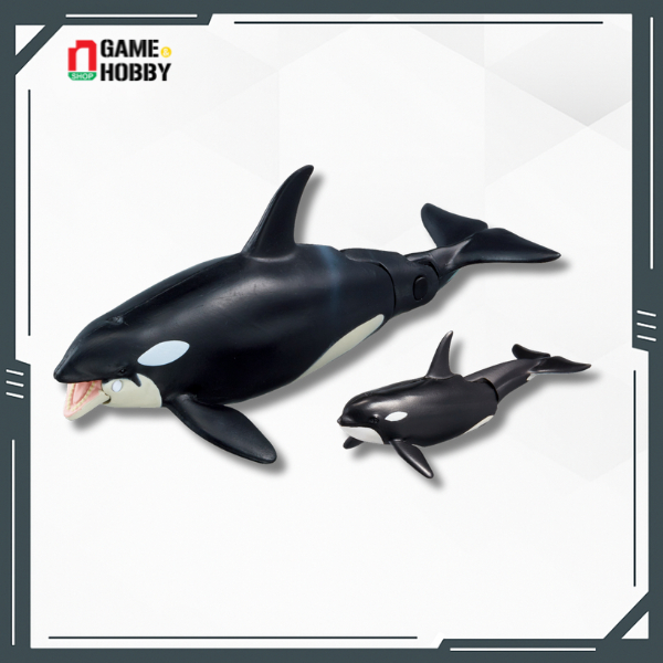 MÔ HÌNH ĐỘNG VẬT ANIA AL-08 KILLER WHALE FLOATING VER - CÁ VOI SÁT THỦ