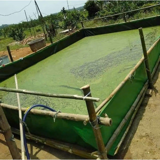 Bể bạt 3x2x0,5 - nuôi ốc cá ếch lươn tôm cua baba... làm bể bơi cho bé