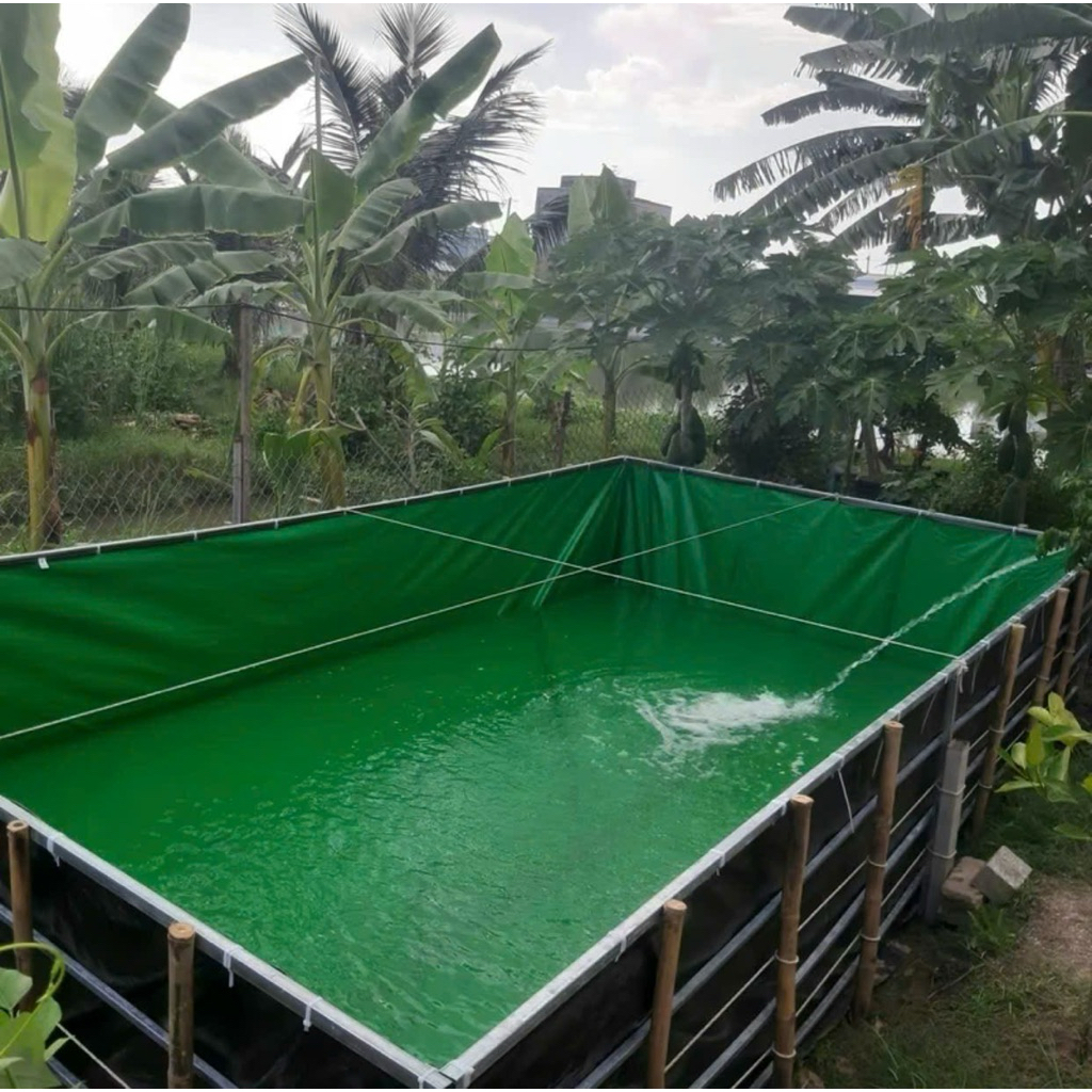 Bể bạt 3x2x0,5 - nuôi ốc cá ếch lươn tôm cua baba... làm bể bơi cho bé