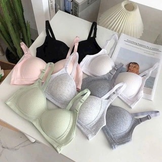  SET 3 áo lót áo ngực Nữ Sinh Không Gọng Cotton Mềm Mại Trẻ Trung Form Ôm Ngực Mã K11. 