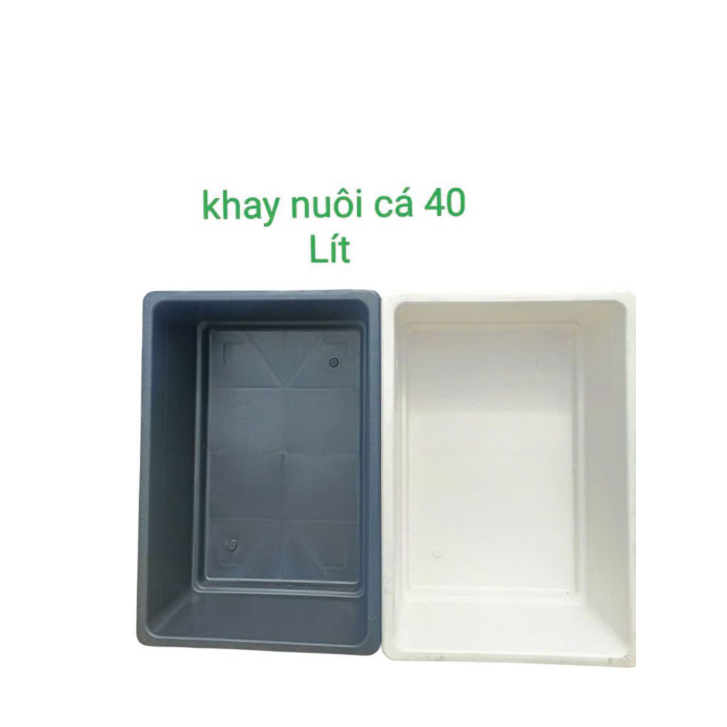 Khay Nhựa 40Lít (Không Có Lỗ) Nuôi Cá Trồng Cây Thủy Sinh (Không vỉ Nhưa)