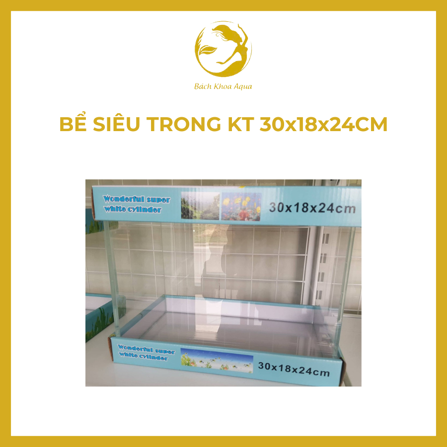 Bể siêu trong 30x18x21cm - Kính dán giấu keo, bể thủy sinh thẩm mỹ