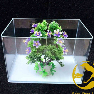Bể đúc siêu trong 40x23x25cm - Bể đúc kính trong đẹp, 2 góc bo tròn thẩm mỹ