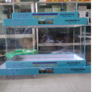 Bể siêu trong 50x26x30cm - Bể thủy sinh đẹp, thẩm mỹ