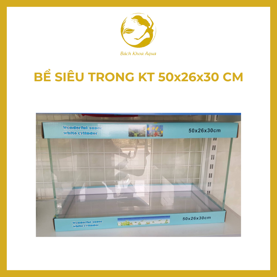 Bể siêu trong 50x26x30cm - Bể thủy sinh đẹp, thẩm mỹ