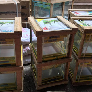 Bể Cubic 30 thường - Bể thủy sinh kính đẹp