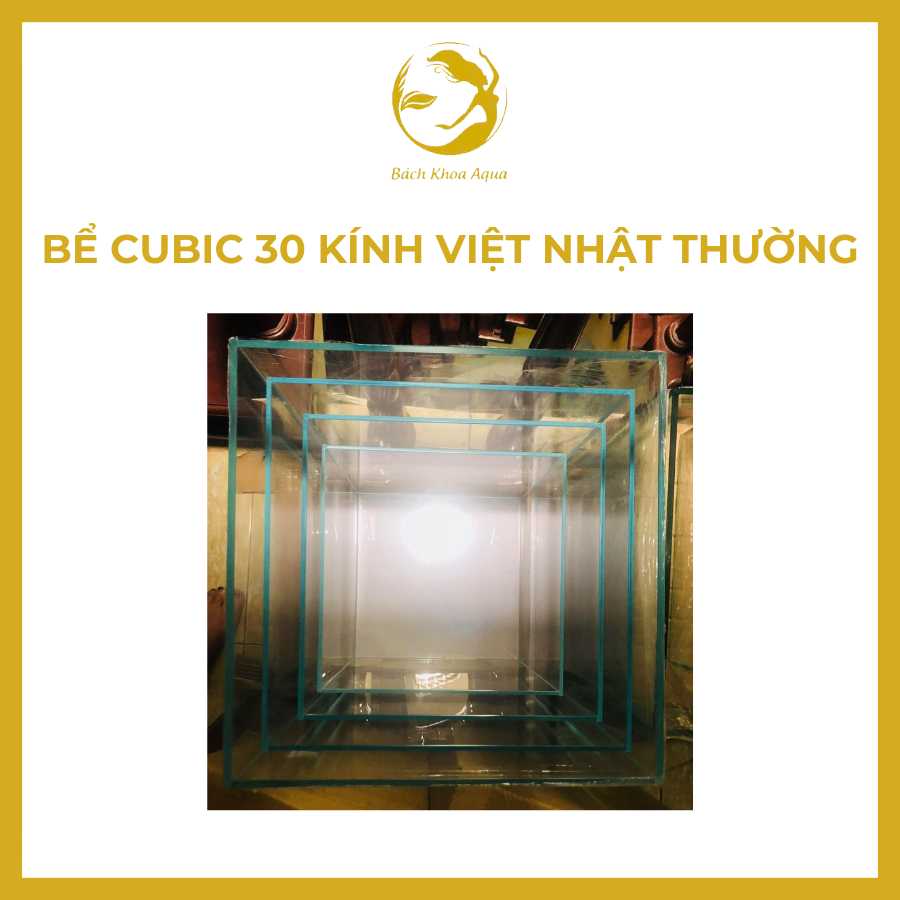 Bể Cubic 30 thường - Bể thủy sinh kính đẹp