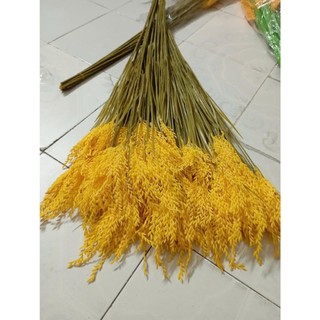 {Ấm no, Sung túc}-Cây Lúa Giả Cao Cấp 3 Bông Cao 90cm,Hoa Lúa Vàng Trĩu Bông Cắm Bình Decor Trang Trí Nhà Cửa, Quán Cafe