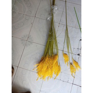 {Ấm no, Sung túc}-Cây Lúa Giả Cao Cấp 3 Bông Cao 90cm,Hoa Lúa Vàng Trĩu Bông Cắm Bình Decor Trang Trí Nhà Cửa, Quán Cafe