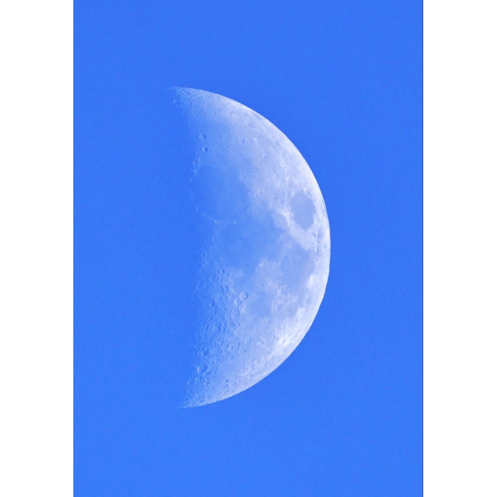 Lens siêu zoom sigma 50-500mm canon ef (siêu đa dụng - hoạt động hoàn hảo) - Ống kính Canon EF