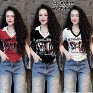  Áo Thun Nữ Bigsize  40-95kg  Cổ Tim Polo Sọc in Chữ Chất Gân Tăm Co Giãn Xinh Đẹp Hot Hit Chuppy Dễ Thương Body Ôm Gọn 
