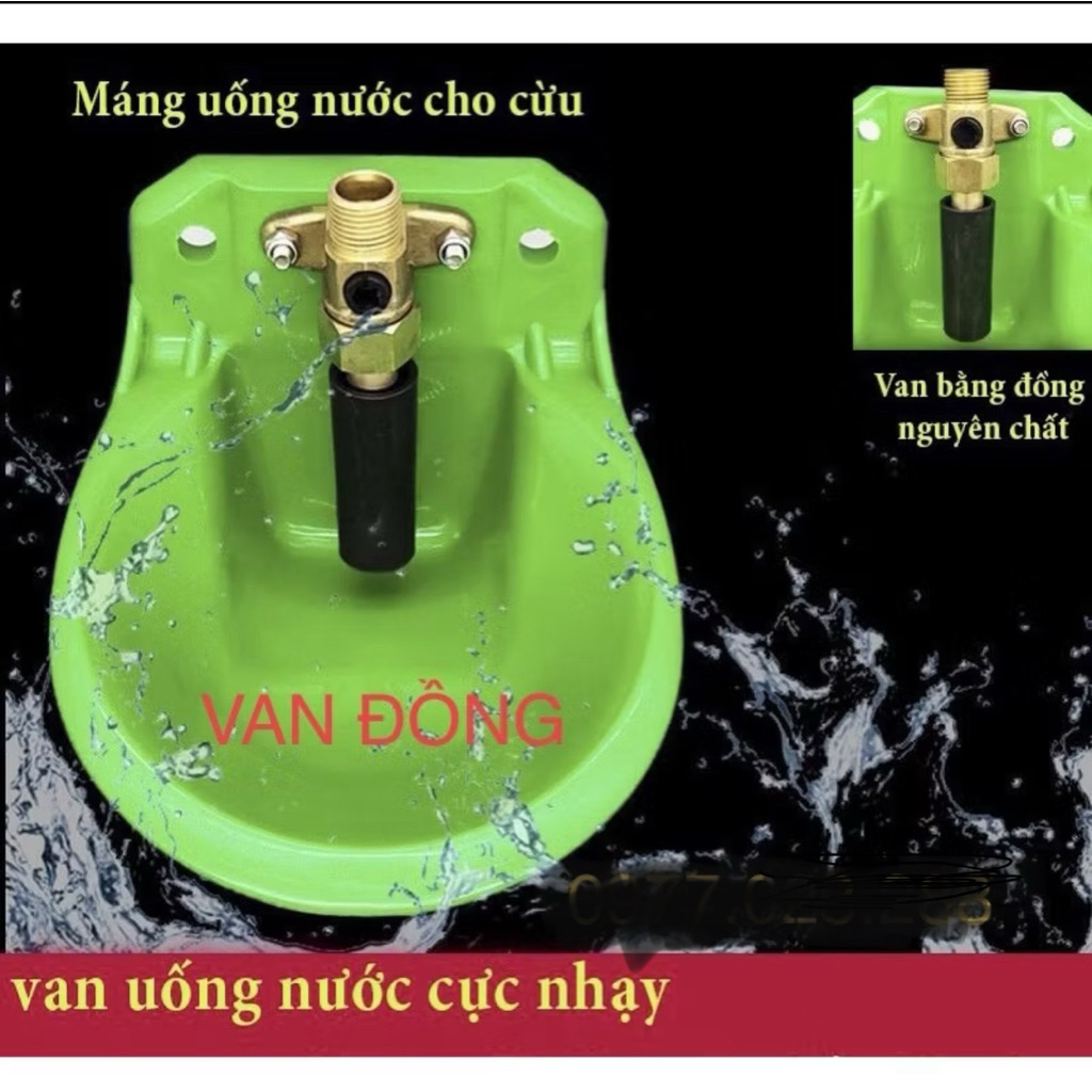 Máng uống nước tự động cho dê cừu