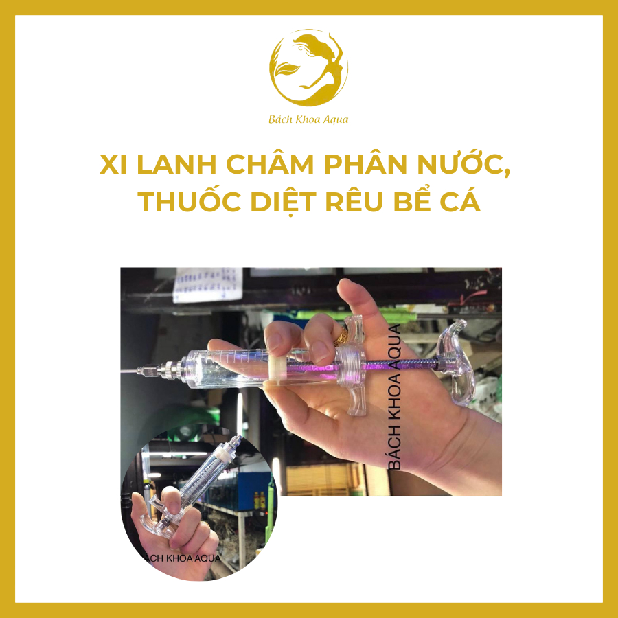 Xi lanh châm phân nước, thuốc diệt rêu cho bể thủy sinh