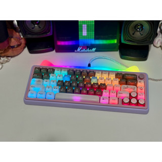  Bàn phím cơ Paw65 nhôm CNC kết hợp tai mèo dễ thương kết nối 3 chế độ đã custom tại Tungcustom 