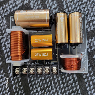  Mạch phân tần loa 2 đường tiếng cao cấp EW301 Singapore - Tụ nhôm trở nhôm cuộn cảm đồng - Giá 1 chiếc 