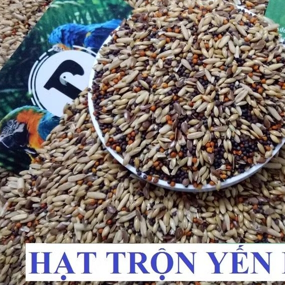 1KG HẠT TRỘN DÀNH CHO YẾN HÓT (ĐẦY ĐỦ CHẤT DINH DƯỠNG)