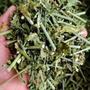 1kg cây xương khỉ (bìm bịp)