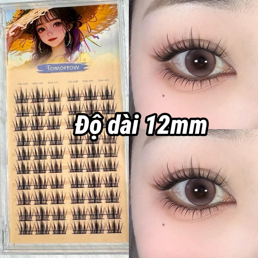 [ Hỏa Tốc ] Mi Tomorrow-PHỒN HOA Tự Nhiên Kích Thước Lông Mi 12mm