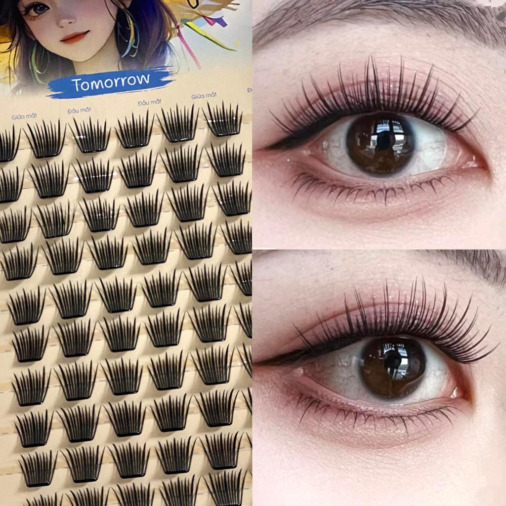 Lông Mi Giả Mi Tây Tomorrw, Mi HOA TIỂU CÚC Độ Dài 12mm