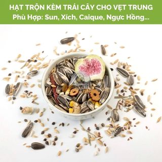 [Mixed by Vẹt Nè] HẠT TRỘN KÈM TRÁI CÂY CHO VẸT TRUNG - Dùng Cho Sun, Xích, Caique, Ngực Hồng, Monk