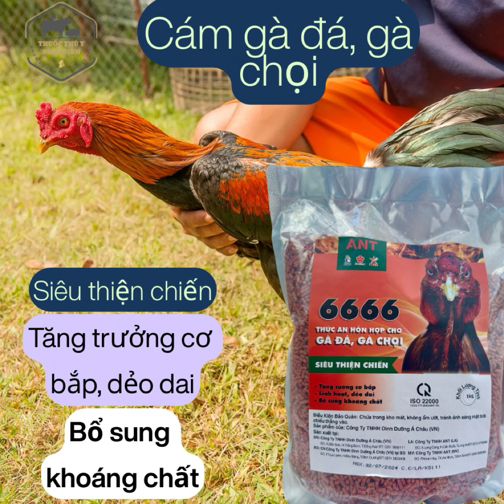 Cám gà đá, gà chọi, gà tre hàng chính hãng ANT 1kg