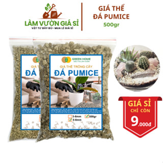  Đá Pumice Bao 500GR Đất Trồng Sen Đá Giá Thể Trồng Cây Lót Chậu Nhiều Khoáng Chất 