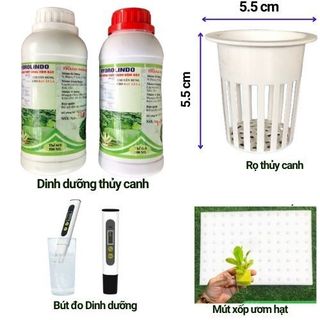  Dinh Dưỡng Thủy Canh Đậm Đặc An Toàn Hiệu Quả cho rau ăn lá rau ăn quả dung dịch và phụ kiện thuỷ canh 