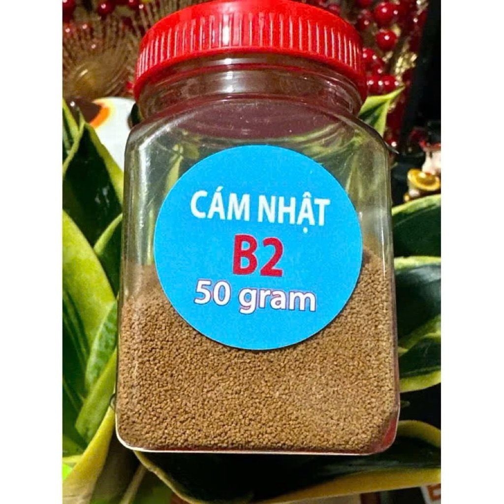 Cám Nhật B2 50g - Thức ăn tốt cho cá cảnh (50gram)