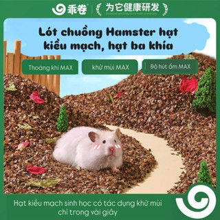  GJGJO Lót chuồng lồng hamster nhím sóc hạt kiều mạch hạt ba khía thoáng mát khử mùi hỏa tốc HN 