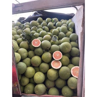 🍊BƯỞI LÃO DA XANH, Ship nguyên trái & cắt sẵn