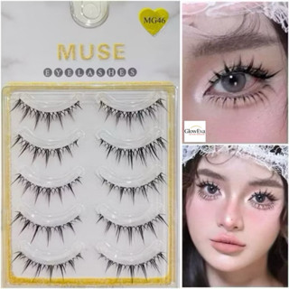    FULL Nhiều MÃ   Lông Mi Giả Gân Trong Mi Gân Trong MUSE Cao Cấp MUSE 