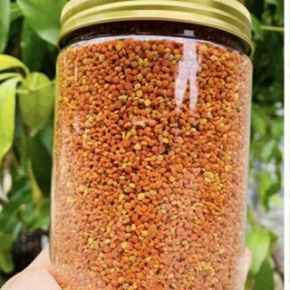 Phấn hoa rừng tây bắc tự nhiên 100%