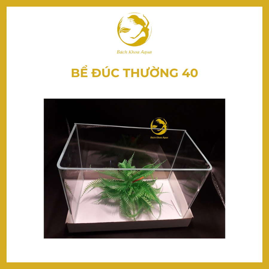 Bể cá đúc thường 40 có 2 góc bo thẩm mỹ