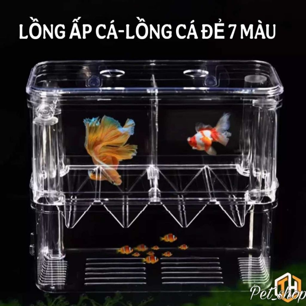 Lồng đẻ cá 7 màu - Lồng ép cá đẻ - Lồng tách cá bằng mica cho cá Guppy, cá Mún, cá cảnh nhỏ size S,M,L.