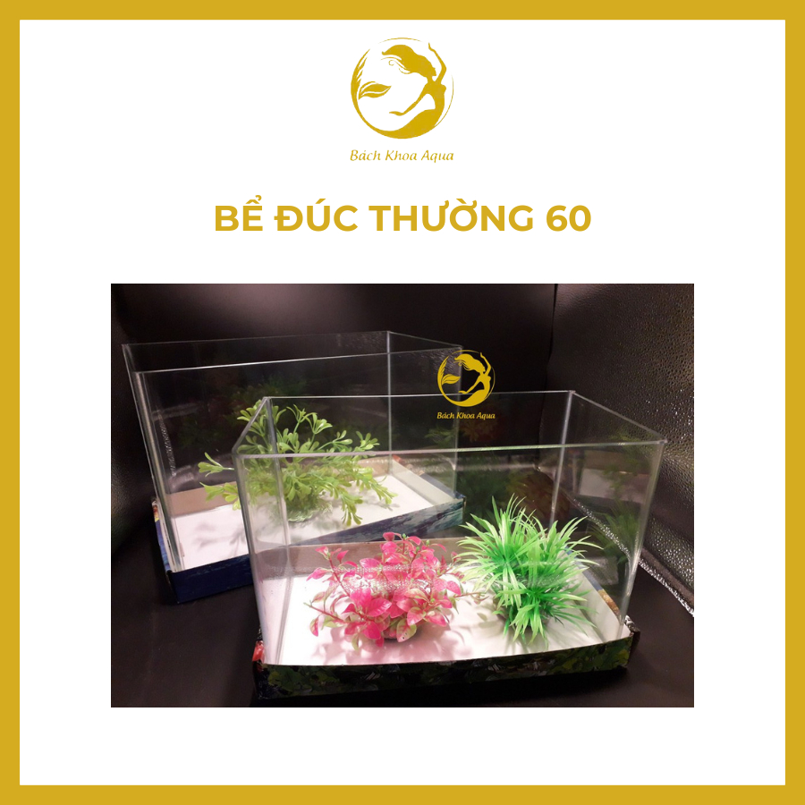 Bể Đúc Thường 60 có 2 góc bo thẩm mỹ, phù hợp trang trí phòng khách