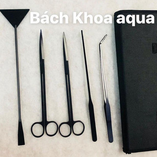 Bộ chăm sóc - Setup bể cá