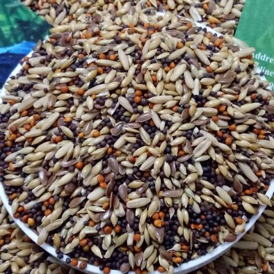 500G HẠT TRỘN DÀNH CHO YẾN HÓT