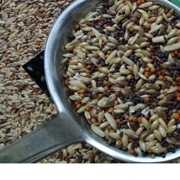 1KG HẠT TRỘN DÀNH CHO YẾN HÓT (ĐẦY ĐỦ CHẤT DINH DƯỠNG)
