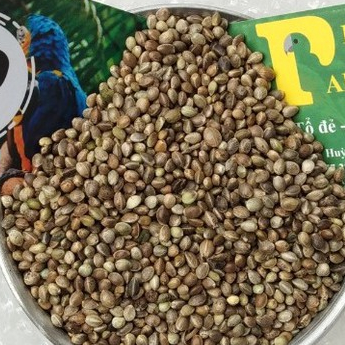 HẠT LÁNG GÀ (TRÒN) (1KG) DÀNH CHO CHIM,VẸT