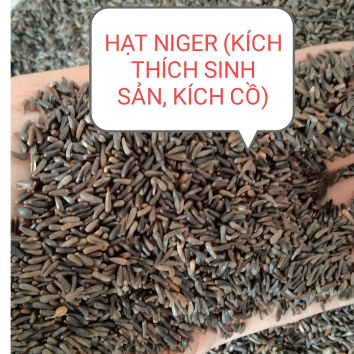200g HẠT NIGER (KÍ.CH THÍ.CH SI.NH SẢ.N, KÍC.H C.Ồ) CHO CHIM VẸT