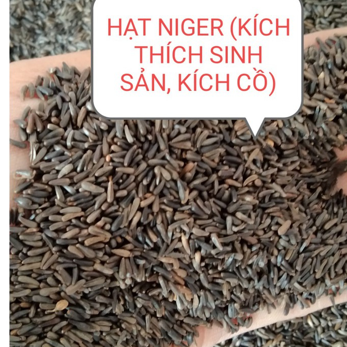 100g HẠT NIGER (KÍ.CH THÍ.CH SI.NH SẢ.N, KÍC.H C.Ồ) CHO CHIM VẸT