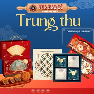 Hộp đựng bánh trung thu 2-4 bánh (50-250g) biếu, tặng quà cao cấp nhiều họa tiết - VUA BAO BÌ
