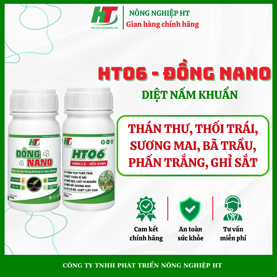 HT06 - ĐỒNG NANO xử lý thán thư, sương mai, đốm lá, ghỉ sắt, thối trái_NÔNG NGHIỆP HT