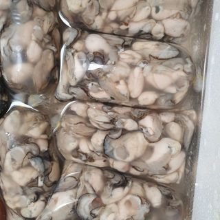 Hàu sữa tách vỏ tươi ngon - Bịch 500gr (giao 2h hỏa tốc TPHCM)